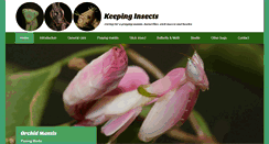 Desktop Screenshot of keepinginsects.com