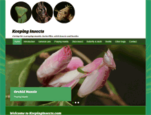 Tablet Screenshot of keepinginsects.com